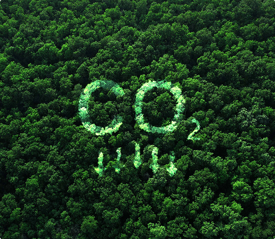 carbon